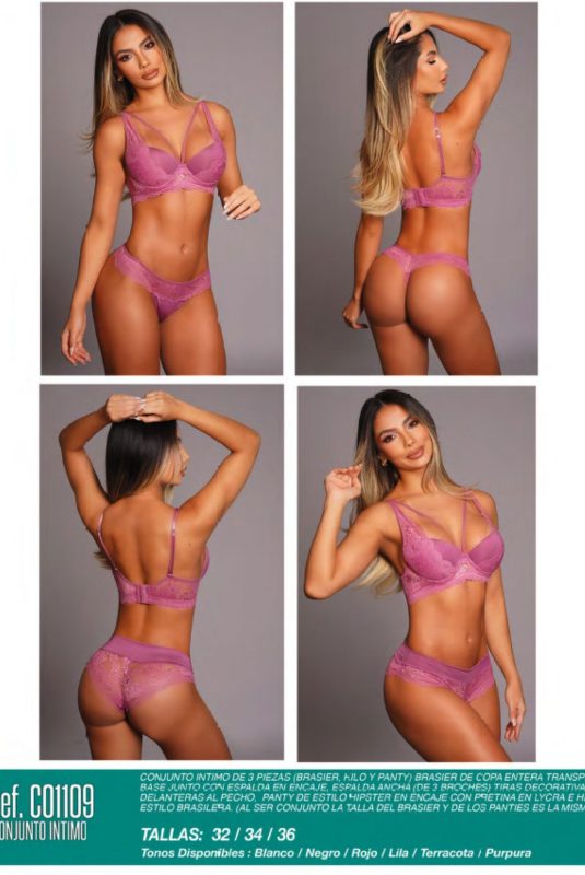 Conjunto de 3 piezas (brasier, hilo y panty) CO1109